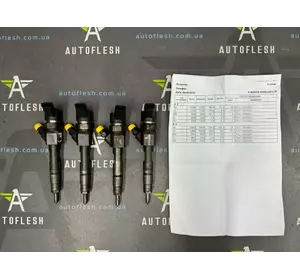 Форсунка топливная/ инжектор 8200100272, 0445110110 Renault/ Nissan/ Opel, 1.9 dCi Форсунка топливная/ инжектор 8200100272, 0445110110 Renault/ Nissan/ Opel, 1.9 dCi