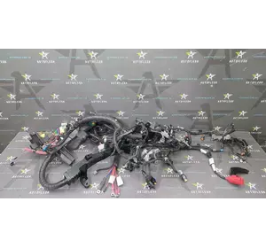 Проводка двигателя в сборе P240119254S,  240144122 Nissan NV400 Opel Movano B Renault Master, 2.3 dCi Bi-Turbo Проводка двигателя в сборе P240119254S,  240144122 Nissan NV400 Opel Movano B Renault Master, 2.3 dCi Bi-Turbo