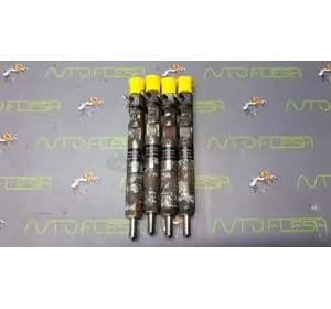 Б/у форсунки Delphi EJBR02201Z 1.8 TDCi для Ford Focus Б/у форсунки Delphi EJBR02201Z 1.8 TDCi для Ford Focus