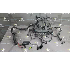 Проводка двигателя в сборе A6461500733, A0005461580, Mercedes E-Class W211, 2.2 CDI OM646 Проводка двигателя в сборе A6461500733, A0005461580, Mercedes E-Class W211, 2.2 CDI OM646