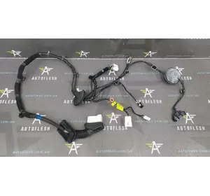 Проводка передней левой двери 916101D050, 919811D020 KIA Carens III (06-12) Проводка передней левой двери 916101D050, 919811D020 KIA Carens III (06-12)