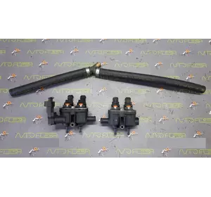 Б/у комплект газовых форсунок 67R010233, 110R000057 для Dacia Sandero Б/у комплект газовых форсунок 67R010233, 110R000057 для Dacia Sandero